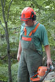 Click to see it big Ich mit Kettensäge, Impression aus dem Wald